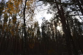 Против солнца