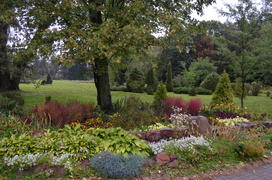 Фрагмент ботанического сада