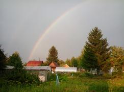 После дождя