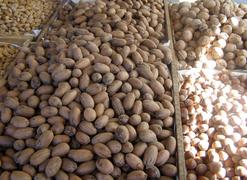 Кипр. Горы орехов