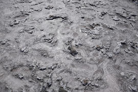 The crust of salt on the bottom of the curative mud dry lake. The surface of the salt lake.