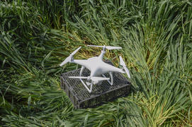 Quadrocopters on a plastic box among the wheat stalks