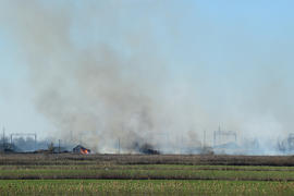 Fire on irrigation canals. Burning dry grass and cane fields in irrigation system