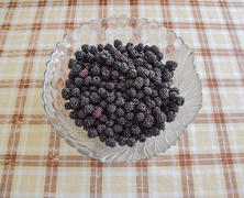 Тарелка с ягодами черной ежевики. Фрукты ягоды на столе.