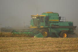 Soy harvesting by combines in the field. Agricultural machinery in operation.