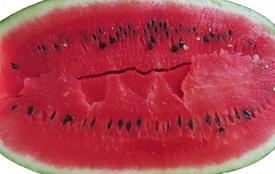 Cut watermelon. The harvest from the garden