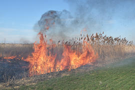 Burning dry grass and reeds. Cleaning the fields and ditches of the thickets of dry grass