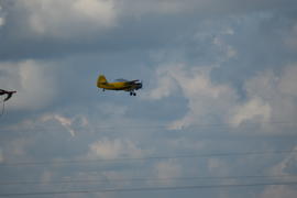 An-2. agricultural aviation. The irreplaceable assistant in the sprayed fields.