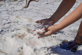 Hands girls taking on the wet salt from the puddles. Salt on the salt lake.