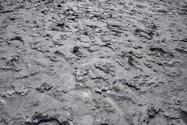 The crust of salt on the bottom of the curative mud dry lake. The surface of the salt lake.