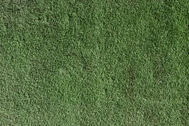 Фон. Текстура зеленого газона 