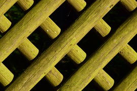 Фон. Текстура дерева 