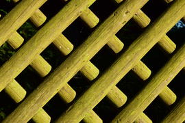 Фон. Текстура дерева 