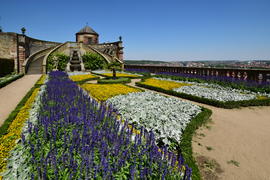 Германия - Город Вюрцбург, Сад с замке Мариенберг 