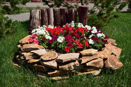 Городские клумбы 