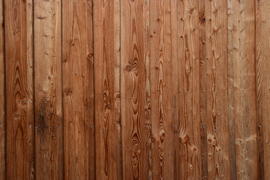 Фон. Текстура дерева 