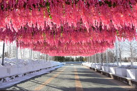 Праздник "Наурыз" в Астане