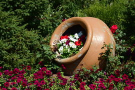 Городские клумбы 