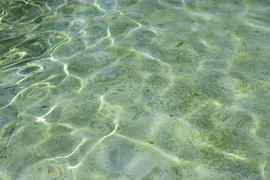 Фон. Текстура воды