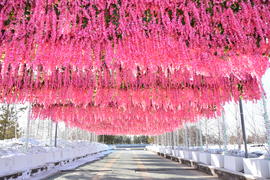 Праздник "Наурыз" в Астане