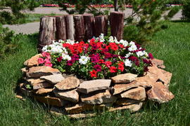 Городские клумбы 