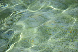 Фон. Текстура воды