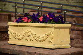 Городские клумбы 