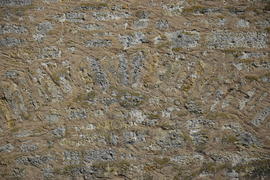 Фон. Текстура каменной стены