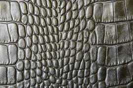 Фон. Текстура кожи 