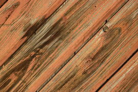 Фон. Текстура дерева 