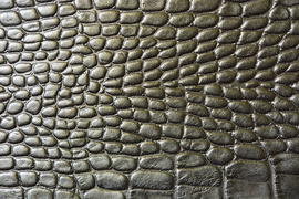 Фон. Текстура кожи 