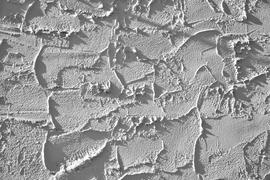 Фон. Текстура каменной стены