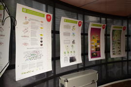 Фестиваль современного искусства "Astana Art Fest". Казахстан