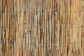 Фон. Текстура дерева 