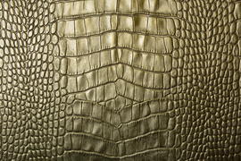 Фон. Текстура кожи 