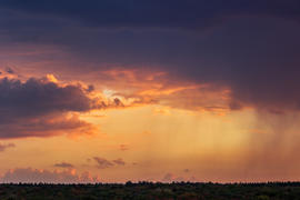 006  Небо над Арбековским лесом в Запрудном. Пенза. 26.09.2015