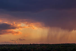 003  Небо над Арбековским лесом в Запрудном. Пенза. 26.09.2015