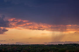 007  Небо над Арбековским лесом в Запрудном. Пенза. 26.09.2015