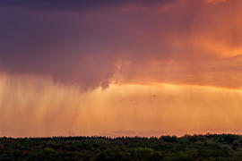 002  Небо над Арбековским лесом в Запрудном. Пенза. 26.09.2015