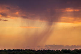005  Небо над Арбековским лесом в Запрудном. Пенза. 26.09.2015