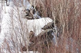 Сахалин. Останец Лягушка