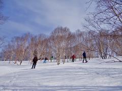 Мицуля. Сахалин