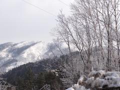 Сахалин. Мицуля