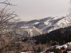 Сахалин. Мицуля