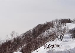 Сахалин. Мицуля