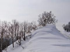 Сахалин. Мицуля