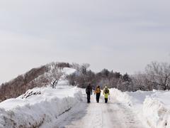 Сахалин. Мицуля