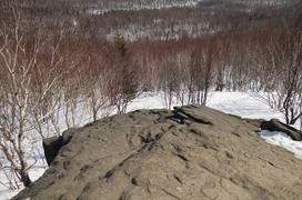 Сахалин. Останец Лягушка