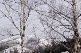 Сахалин. Мицуля