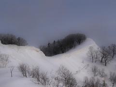 Сахалин. Мицуля